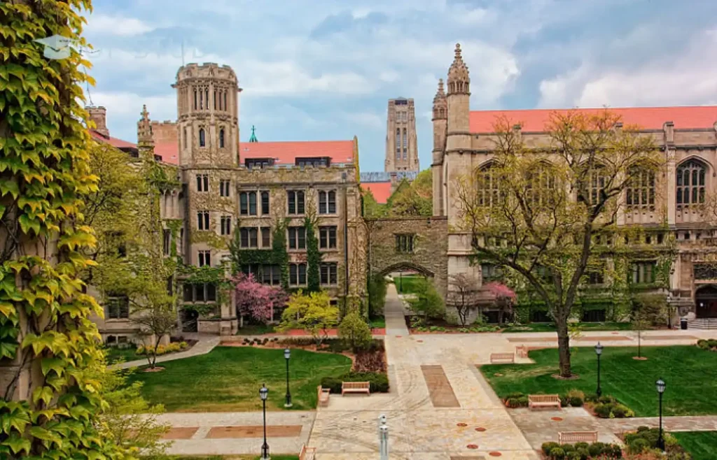 University-of-Chicago